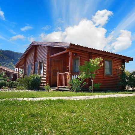 Hayitbuku Ahsapevleri Affittacamere Mesudiye  Camera foto