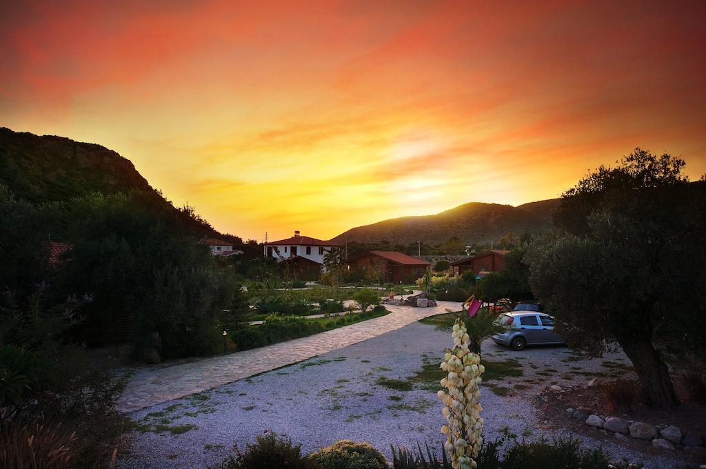 Hayitbuku Ahsapevleri Affittacamere Mesudiye  Esterno foto