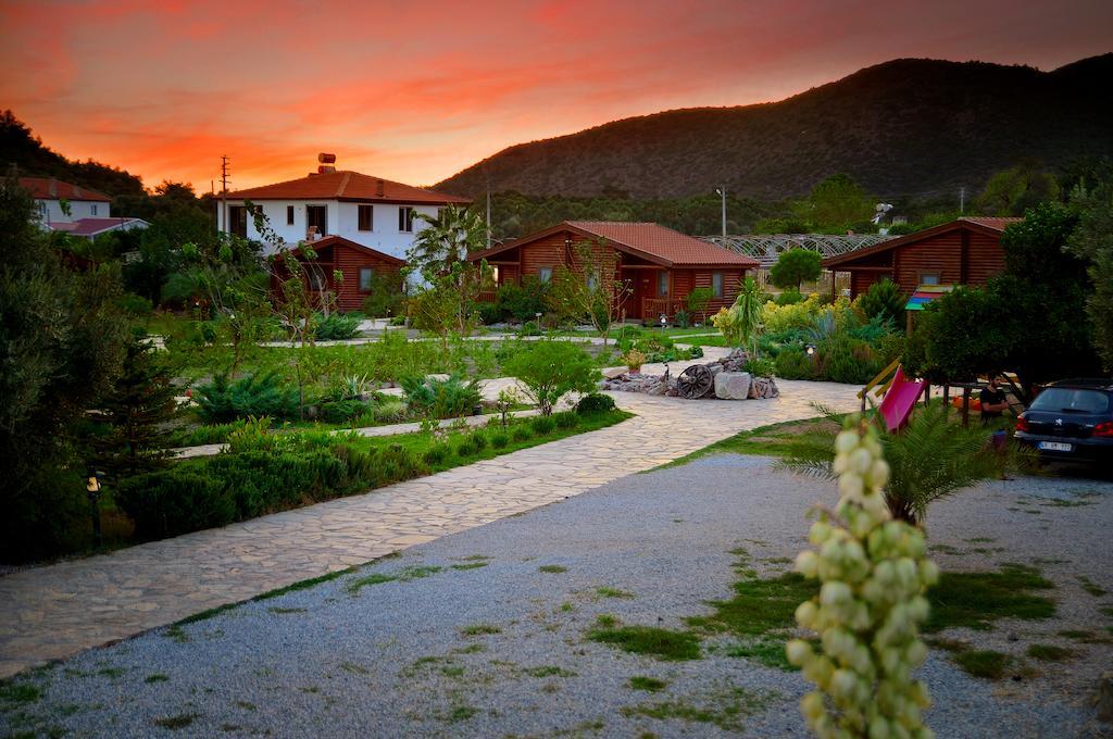 Hayitbuku Ahsapevleri Affittacamere Mesudiye  Esterno foto