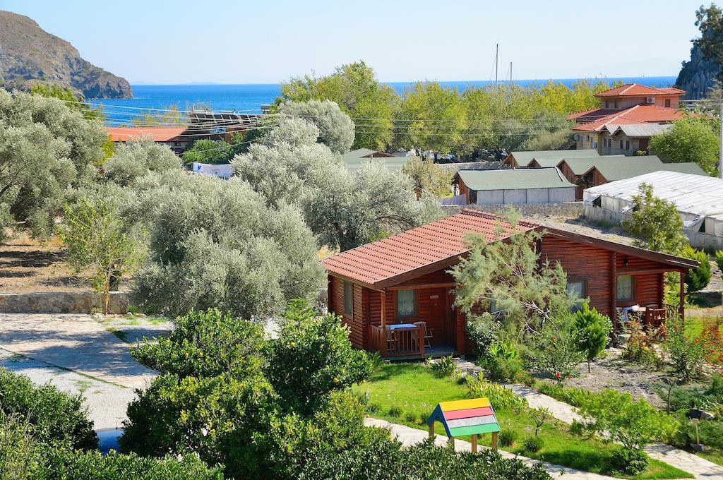 Hayitbuku Ahsapevleri Affittacamere Mesudiye  Esterno foto