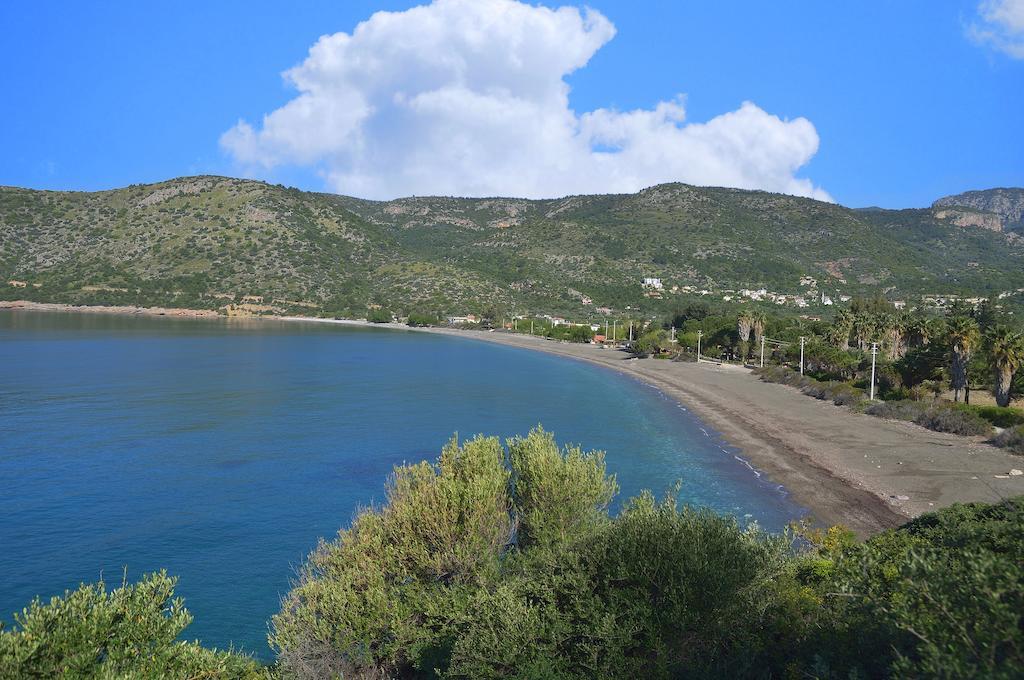Hayitbuku Ahsapevleri Affittacamere Mesudiye  Esterno foto