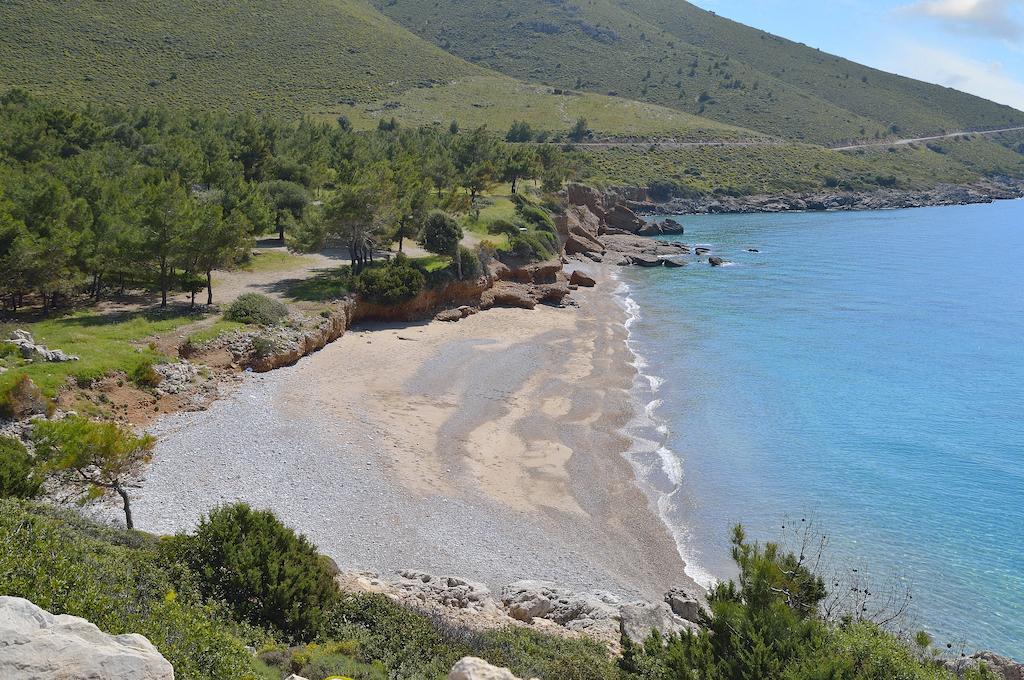 Hayitbuku Ahsapevleri Affittacamere Mesudiye  Esterno foto