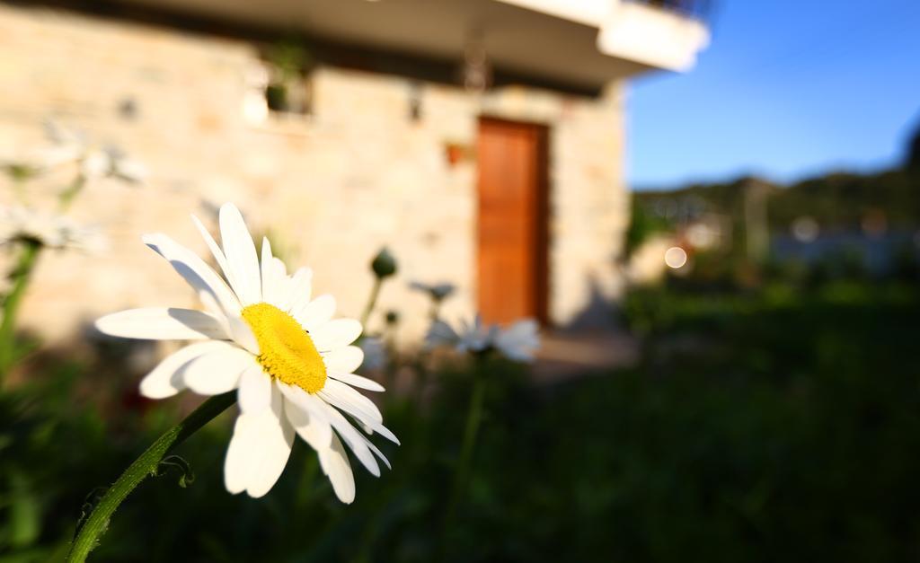 Hayitbuku Ahsapevleri Affittacamere Mesudiye  Esterno foto