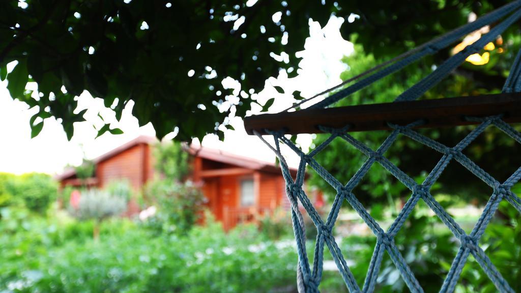 Hayitbuku Ahsapevleri Affittacamere Mesudiye  Esterno foto
