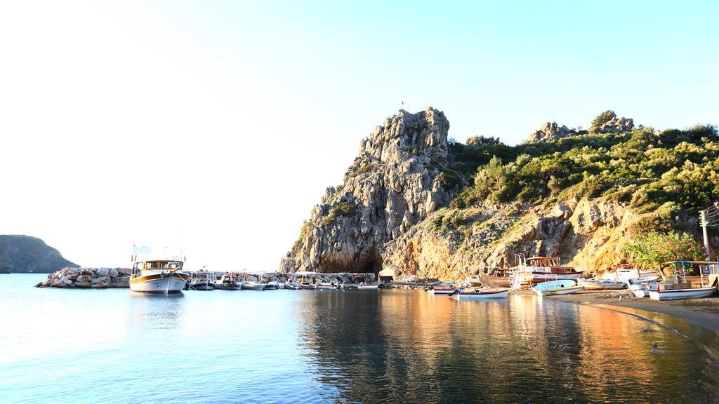 Hayitbuku Ahsapevleri Affittacamere Mesudiye  Esterno foto