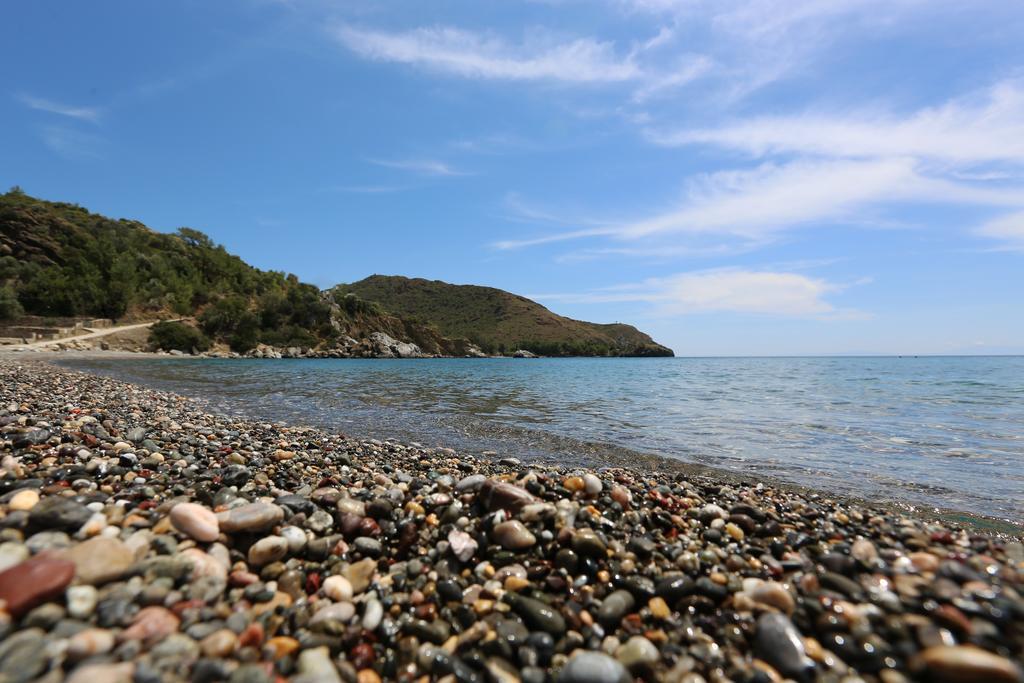 Hayitbuku Ahsapevleri Affittacamere Mesudiye  Esterno foto